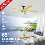 REACH Certified 1stshine LED Ceiling Fan with Dimmable Lighting and Remote Control for sale