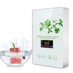 Homefish Glass Panel Portable Fruit Vegetable Sterilizing Intelligent Multifunction Machine 400mg/h Ozone Generator for Kitchen for sale