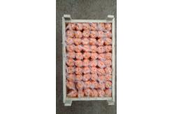 China ISO9001 Standard 34mm Button Drill Bit 7 / 11 / 12 Degree High Quality Carbide supplier