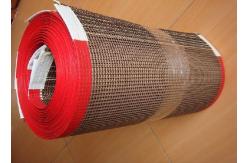 China Coated Fiberglass Red Edge Teflen Conveyor Belt supplier