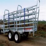 Adjustable Cattle Loading Ramp 50mm X 50mm X 2.00mm Frame 1.5m  Overall Height for sale