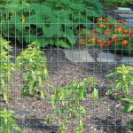 Square Hole Galvanized 1.2x30m Welded Iron Mesh for sale