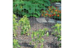 China Square Hole Galvanized 1.2x30m Welded Iron Mesh supplier