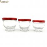 50ml 75ml 100ml Mini Glass Honey Jars Glass Honey Bottle for sale