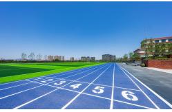 China Recycled Synthetic Running Track Surface Material EPDM Rubber Granules supplier