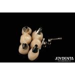 Zirconia Implants Perfect Match With Natural Teeth Zero Allergy Risk