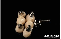 China Zirconia Implants Perfect Match With Natural Teeth Zero Allergy Risk supplier