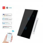 Dimmable 2A WiFi RF Smart Switch 2gang Smart Light Switch Panel
