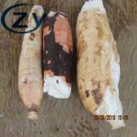 Stainless Steel 304 Cassava Peeling And Washing Machine Tapioca Making for sale