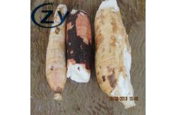 China Stainless Steel 304 Cassava Peeling And Washing Machine Tapioca Making supplier