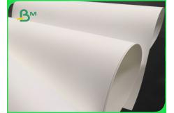 China Recyclable 240gsm Stone Paper For Textbooks 64 x 90cm Tear Resistant supplier