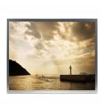 AA190EA01 19.0 inch 1280(RGB)×1024 RGB resolution LCD Panel Display Modules AA190EA01 for sale