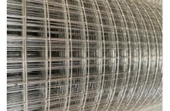 China 1/2 Inch Square Galvanised Welded Wire Mesh Roll For Garden Fence supplier