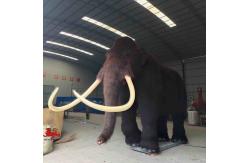 China Size Custom Realistic Animatronic Animals Mammoth Model Adult Age supplier