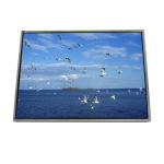 LTD141LM1S 14.1 inch 1400*1050 TFT-LCD Screen Panel for sale