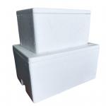 EPS Incubator Cold Chain Transport Foam Box Customization for sale