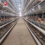 H Type Galvanized Layer Chicken Cage 9 Layers / Cell for sale