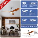 3 ABS Blade 52 Inch Plastic Ceiling Fan DCF FS52901 Energy Saving