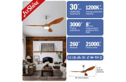 China 3 ABS Blade 52 Inch Plastic Ceiling Fan DCF FS52901 Energy Saving supplier