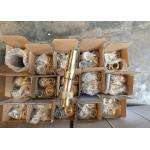 25m3/H Brass Frothy Dancing Fountain Jet Vertical Or Parabolic Water Spray for sale