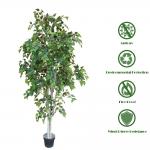 Besting Selling No Nursing Artificial White Birch Bonsai Evergreen With Real Bark For Balcony for sale