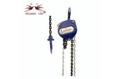 China G80 1 Ton CE Elephant 3m Lifting Chain Pulley Block HSZ-CB supplier