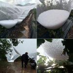 Tree Fruit Hail Protection Net For High Quality UV Treated Net