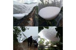 China Tree Fruit Hail Protection Net For High Quality UV Treated Net supplier