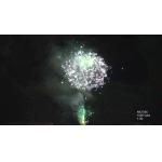 AFSL Customizable 100 Shots Professional Cake Fireworks For Festival Celebration for sale