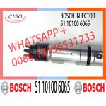 China Made New 0445120098 diesel auto fuel injection 0 445 120 098 for 120 # CRIN2-16 51 10100 6065 Diesel Engine for sale