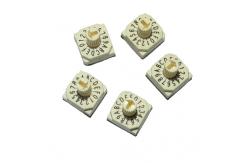 China PHC-16 10x10 16pin 3x3 Bat Handle Switch Positive Code Rotary Coding supplier