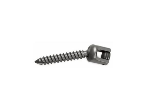 Multi Axial Pedicle Screw Orthopedic Insert Spine Fixation Device