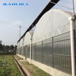 Negative Fan Cooling System Climate Control 60m Tunnel Multi Span Greenhouse