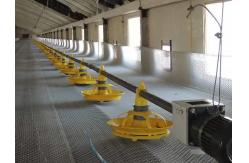 China 99g Chick Line Feeder Automatic Poultry Feeder System For Farming supplier