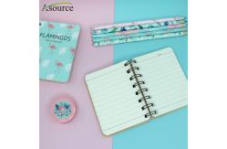 China 70gsm Fashion Cute A4 Notebooks Mini Spiral Thread Binding Notebook supplier
