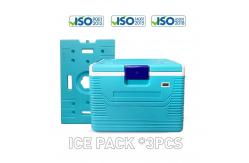 China Phefon 54L Portable Ice Cooler Box Long Cold Time With Temperature Display supplier
