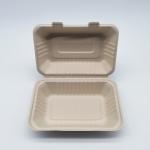 900ml Eco Friendly Disposable Bento Box for sale