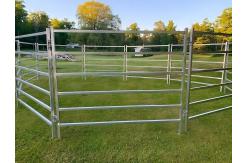 China 10FT Heavy Duty Portable Cattle Yard Panel Fence Livestock Panels supplier