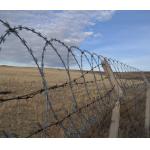 Galvanized Security Fencing Concertina Price Anti Climb Blade Barbed Wire Prison Razor Barbed Wire for sale