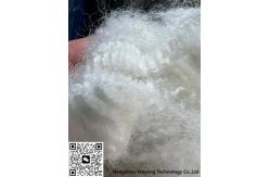 China Textiles Poly Staple Fabric high tensile Polypropylene Staple Fiber supplier