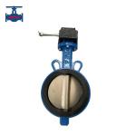 Direct Mount Worm Gear Actuator Driven Wafer Type Butterfly Valve For Optimal Sealing Performance Sealing for sale