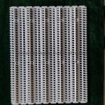                  900 Series Easy-to-Clean Plastic Conveyor Belts with 27.2mm Pitch             