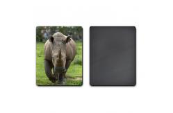 China PET / PP Lenticular 3D Coolest Fridge Magnets Heidelberg Machine Printing supplier