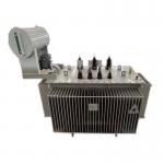 De Energized Tap Changer Voltage Regulating Transformer With TOROIDAL Structure for sale