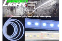 China 1630lum 220V 17W/M LED Flexible Strip Lights Anti Explosive RGB SMD2835 supplier