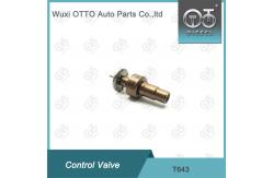 China T643 Common Rail Control Valve Applied 0445110819/818/939 supplier