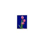 LQ042T5DZ13K LCD Module High Contrast ratio 4.2 inch TFT LCD display for sale