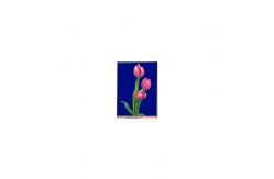 China LQ042T5DZ13K LCD Module High Contrast ratio 4.2 inch TFT LCD display supplier