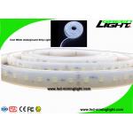 16W/M LED Flexible Strip Lights High Lumen LED Ribbon Lights OEM ODM Service for sale