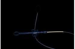 China Medical Devices Sterilized Flexible Acusnare Polypectomy Snare CE Approval supplier